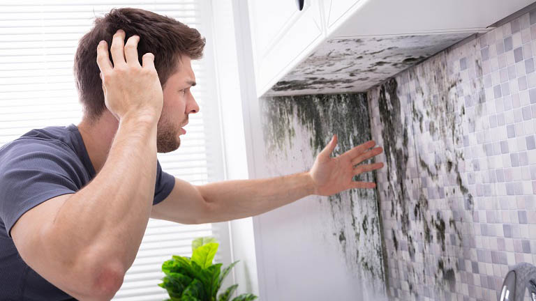 Does Renters Insurance Cover Mold Damage
